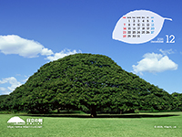 �摜�F�ǎ��ʐ^�u�����̎� �J�����_�[�t���v�C���[�W�摜