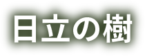 ̎